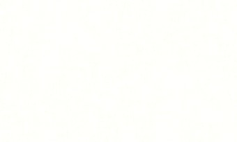 Виниловые обои Erismann Light 4 60271-02