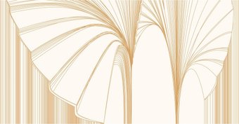 Фотообои Citydecor Perfect Lines 23 (500x260см)