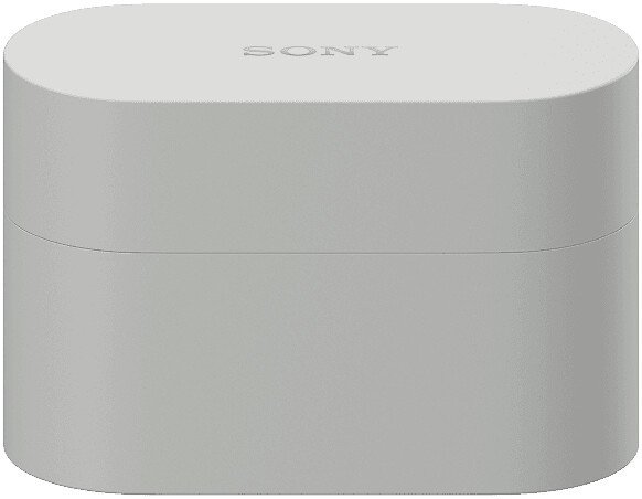Наушники Sony WF-1000XM6 (серый)