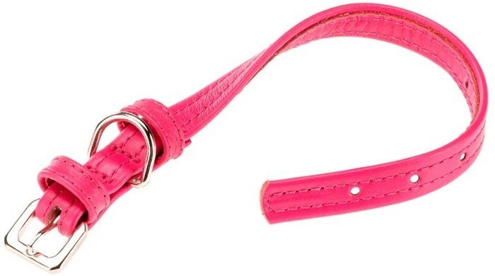 Ошейник Ferplast Vogue Flat CF15/36 76120216 (фуксия)