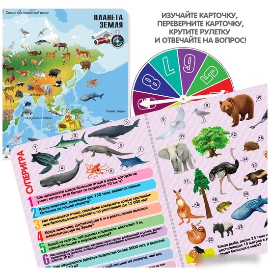 Детская настольная игра Bondibon Увлекательный мир животных и природы ВВ5551