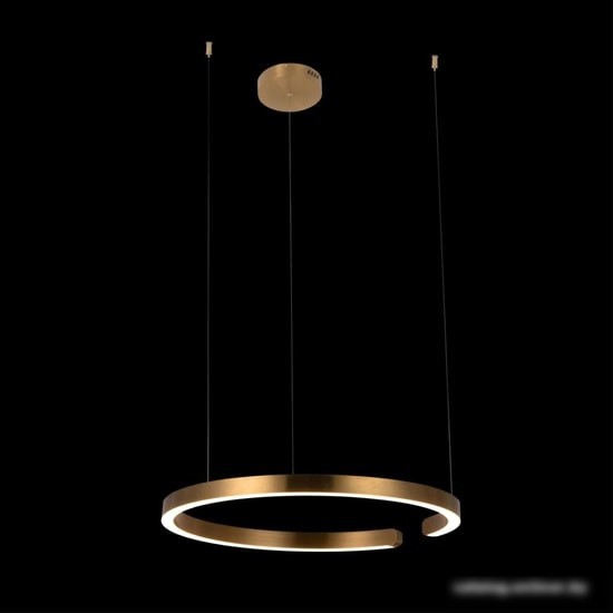 Подвесная люстра LOFT IT Ring 10013L