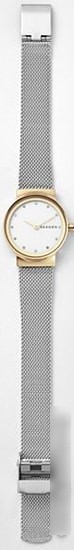 Наручные часы Skagen SKW2666