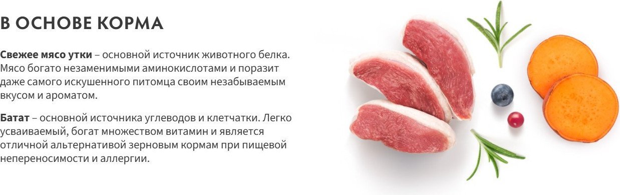 Сухой корм для собак Grandorf Adult Medium&Maxi Breeds Fresh Duck&Sweet Potato 10 кг