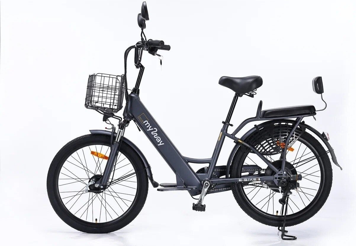 Электровелосипед MyWay Truck 500 24 (графит)