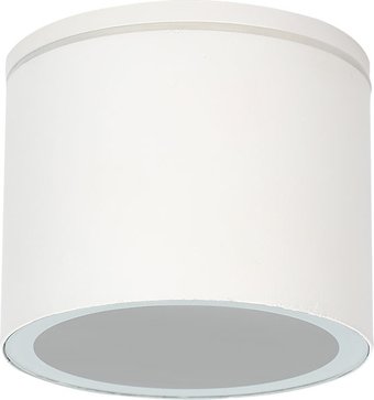 Уличный подвесной светильник Arte Lamp Piautos A1913PF-1WH