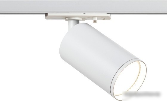 Трековый светильник ЭРА TR39-GU10 WH Б0053309