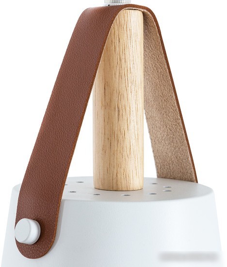Светильник Arte Lamp Thomas A7032SP-1WH