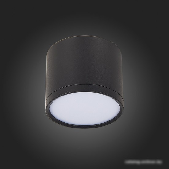 Точечный светильник ST Luce Rene ST113.442.09