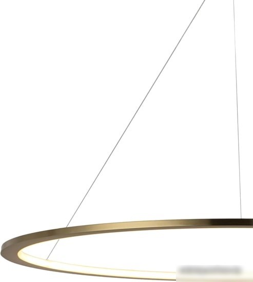 Подвесная люстра LOFT IT Ring 10014XXL