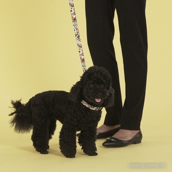 Поводок United Pets Complete Me Leash (M, разноцветный рисунок)
