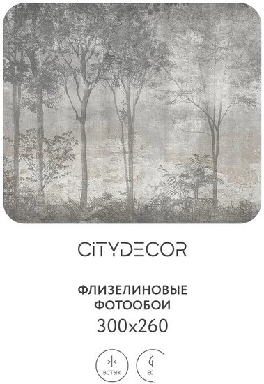 Фотообои Citydecor Dark Side 34 300x260
