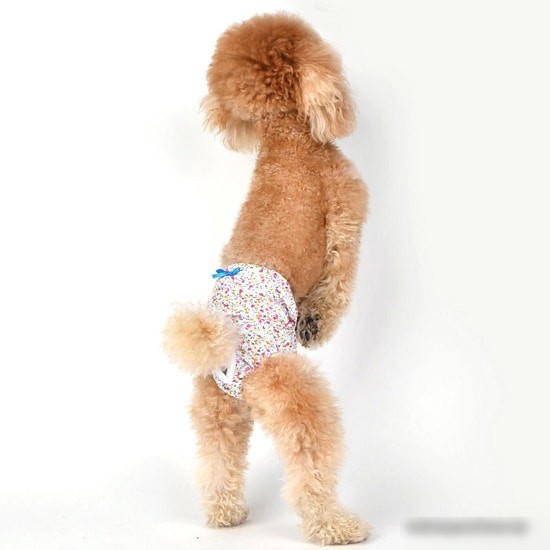 Гигиенические трусы Puppia WildFlower PAUB-PT1806-SB-L (голубой)