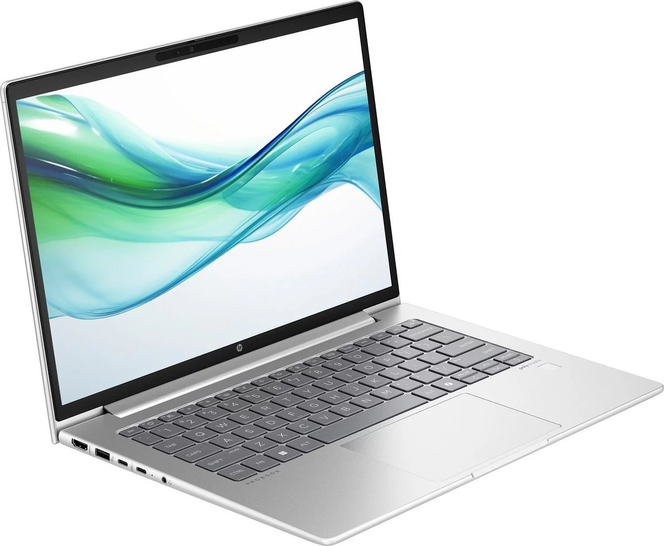Ноутбук HP ProBook 440 G11 D2FP6ET