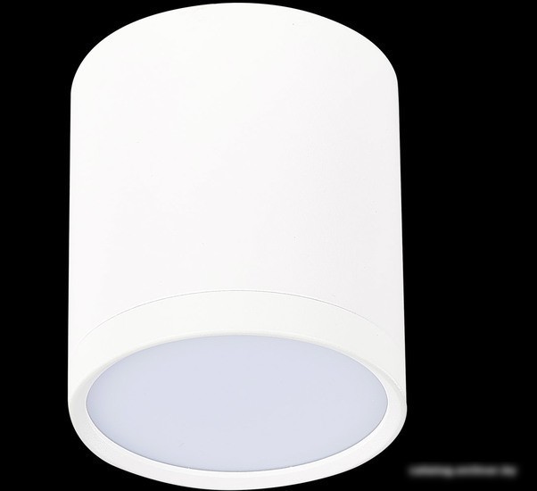Точечный светильник ST Luce Rene ST113.542.05