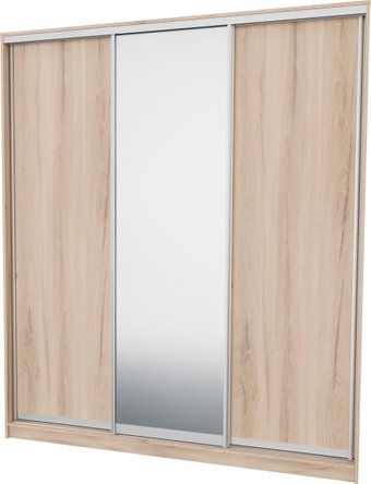 Шкаф-купе Рэйгрупп 233450 EEX Elgon РГ-07.02 (дуб элисон/дуб элисон/хром)