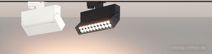 Трековый светильник Arlight LGD-LOFT-TRACK-2TR-S170-10W Day4000 036470
