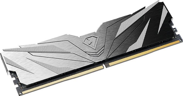 Оперативная память Netac Shadow II 2x16ГБ DDR5 6000 МГц NTSWD5P60DP-32K