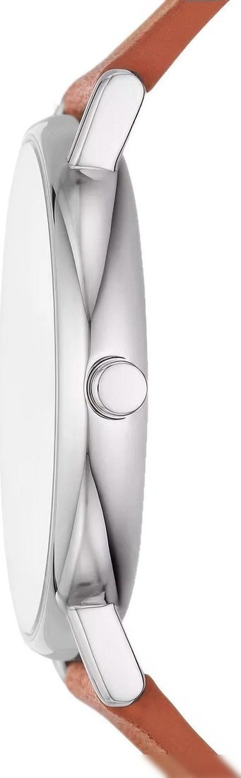 Наручные часы Skagen SKW6903