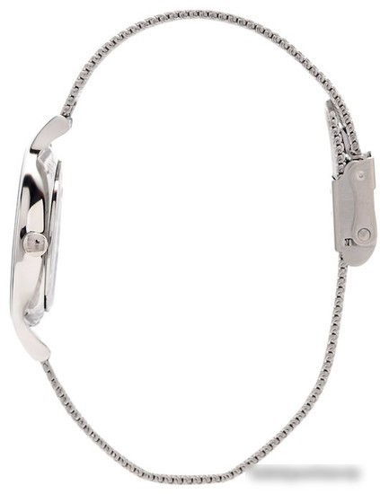 Наручные часы Skagen SKW2307