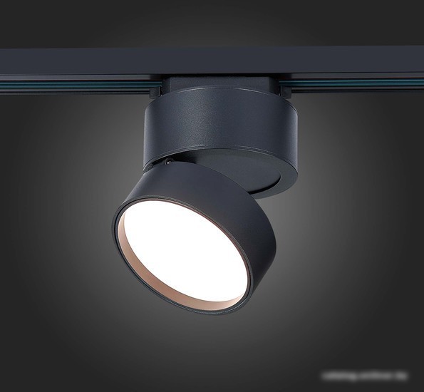 Светильник ST Luce ST651.436.14