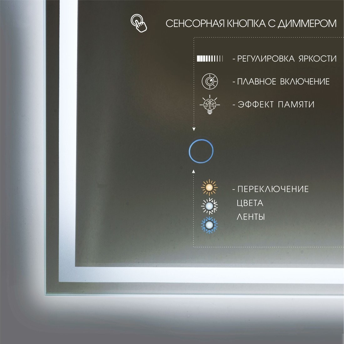 Алмаз-Люкс Зеркало Darwin 80100s-1 (с подсветкой и сенсорной кнопкой)