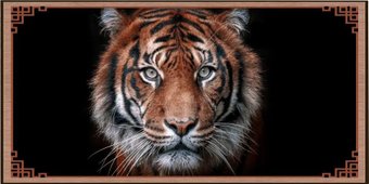 Шашки/нарды Partida Сирия Тигр средние. rastiger50