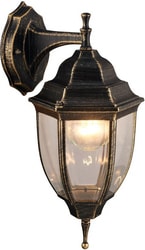 Уличный фонарь Arte Lamp Pegasus A3152AL-1BN