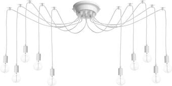 Подвесная люстра LOFT IT LOFT1162W/10