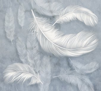 Фотообои Vimala Белые перья 270x300