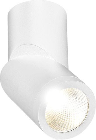 Спот ST Luce ST650 ST650.532.10
