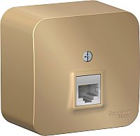 Розетка компьютерная Systeme Electric Blanca BLNIA045004