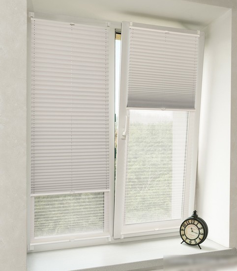 Плиссе Delfa Basic Blo СПШ-37102/3504 Basic Transparent (62x160, белый)