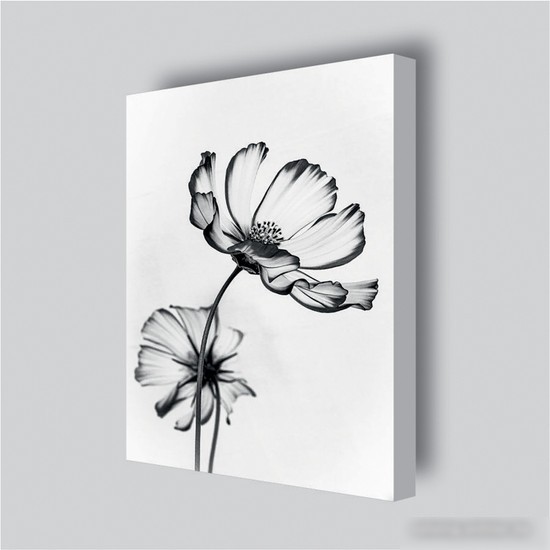 Картина Stamprint Черные цветы 2 TR015 (45x35)