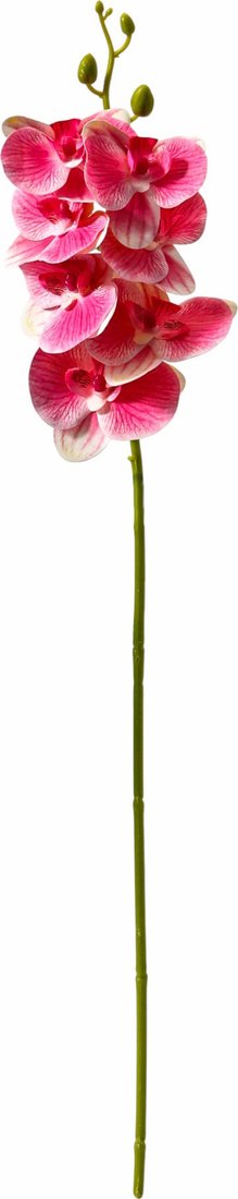 Искусственный цветок Poetry in flowers Орхидея экстра галант 10084664