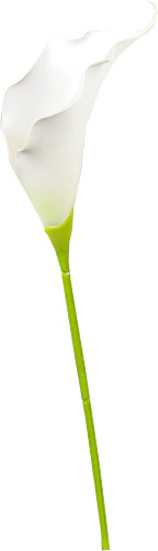 Искусственный цветок Forgarden Калла BN10768 (белый)