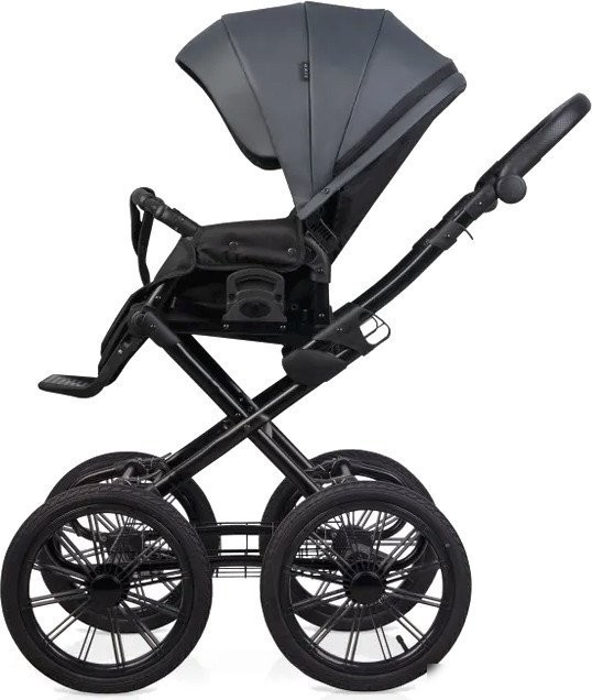 Универсальная коляска Riko Montana X Ecco Prestige 2 В 1 Basic (графит)