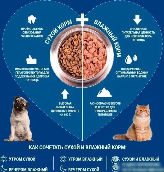 Консервированный корм для собак Monge Monoprotein паштет из курицы, консервы 400 г