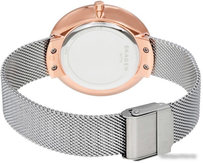 Наручные часы Skagen SKW2583