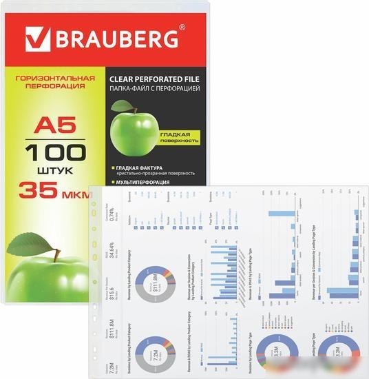 Набор файлов BRAUBERG 223085 (100 шт)