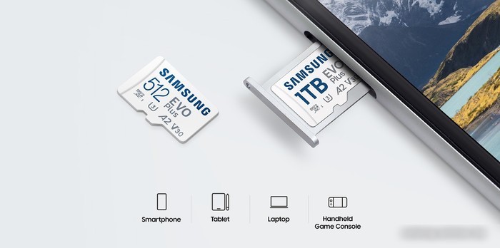 Карта памяти Samsung EVO Plus 2024 microSDXC 256GB (с адаптером)