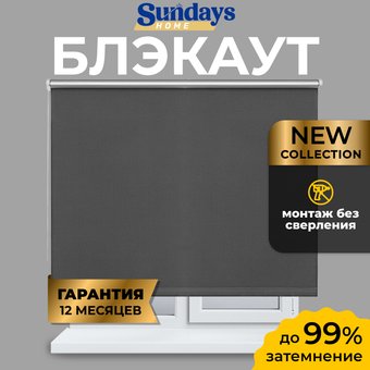Рулонные шторы Sundays Home LM 167-07 100х160 (темно-серый)