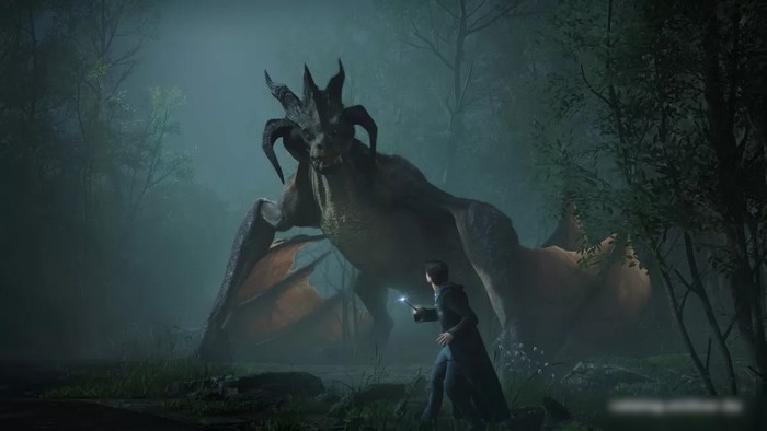 Hogwarts Legacy для Xbox Series X