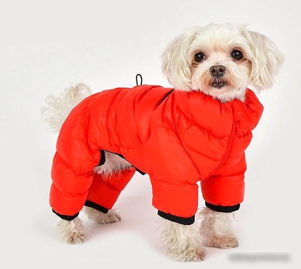 Комбинезон для животных Puppia Jumpesuit B PAPD-JM1673-RD-XXL (красный)