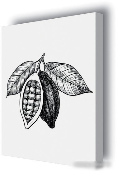 Картина Stamprint Фрукты 3 КС009 (45x35)