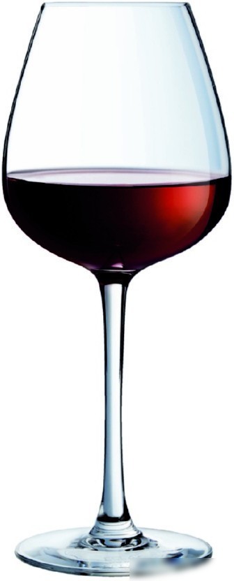 Набор бокалов для вина Gipfel Wine Elegance 51141 (2 шт)