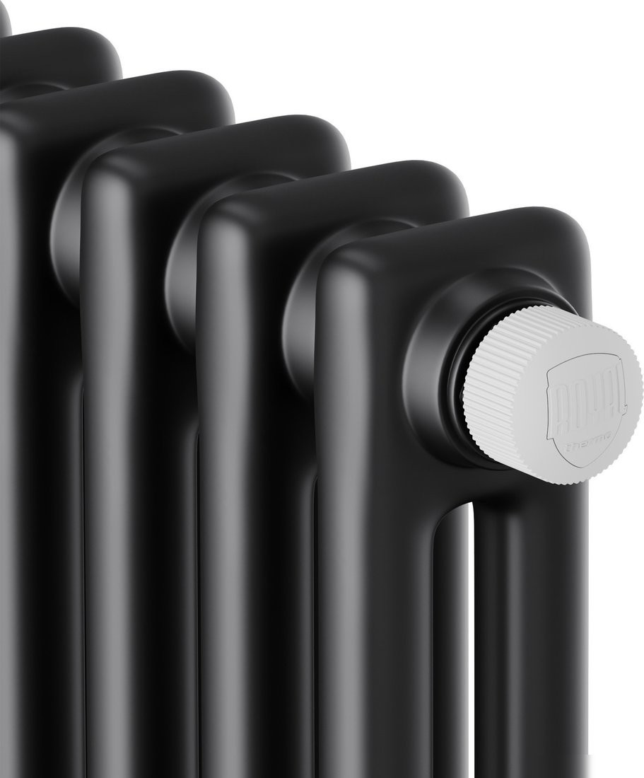 Стальной трубчатый радиатор Royal Thermo Insignia VC2180 - 06 секций RAL9005m