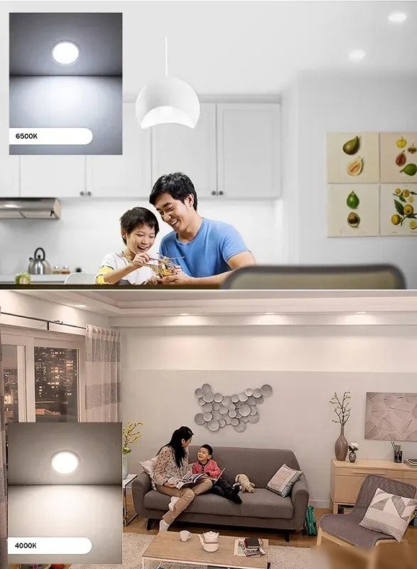 Точечный светильник Philips Eridani DL190B LED8 D125 10W 840 WH 929003281407