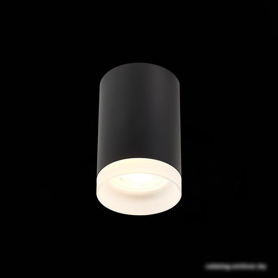 Припотолочная люстра ST Luce ST100.402.01