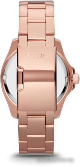 Наручные часы Fossil AM4483